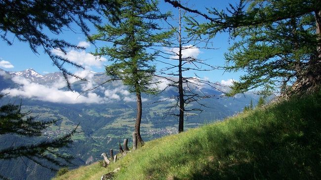 Lodge Visperblick 24-7 Parkplatz Und Fruehstueck Inkl *